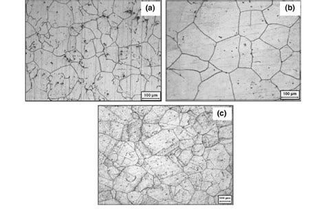 Microstructure Of Alloy 600 Etched In 10 Oxalic Acid A As Received Download Scientific