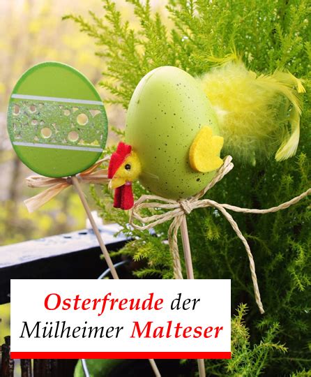 Osterfreude Der M Lheimer Malteser