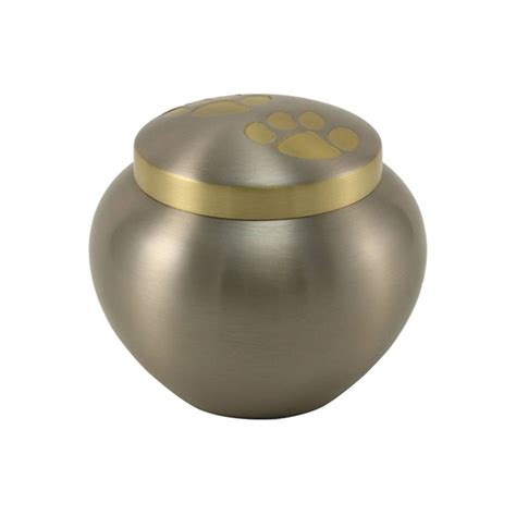 Odyssey Pewter Urn Radiant Heart After Care For Pets