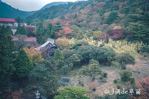 2024岛原城游玩攻略从酒店俯瞰“云仙地狱”，云【去哪儿攻略】