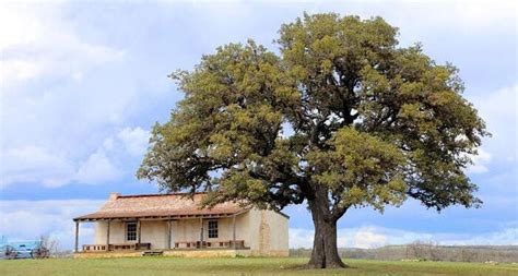 Top 10 Historical Sites in Texas That Are Worth the Trip! - Ron Sturm