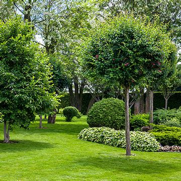 Jardines Verdes Ideas Pr Cticas Para Planificarlos Y Dise Arlos Foto