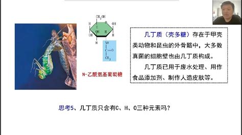 必修1第二章第3节 细胞中的糖类和脂质（新教材新授课） 哔哩哔哩