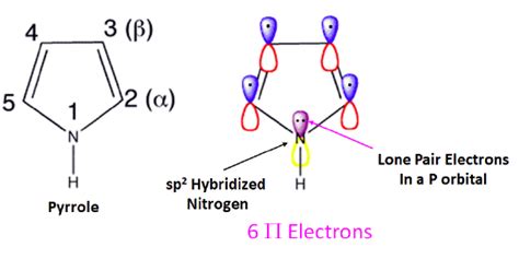 249 Heterocyclic Amines Chemistry Libretexts