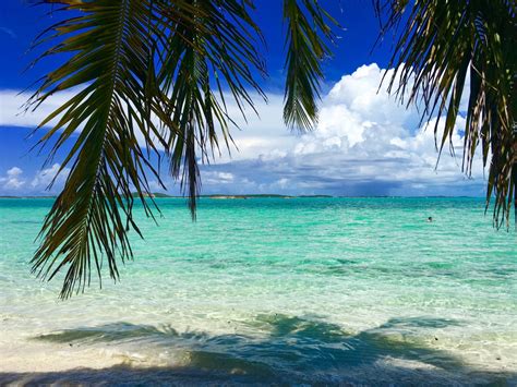 Free Images Beach Sea Coast Tree Sand Ocean Sky Sunlight