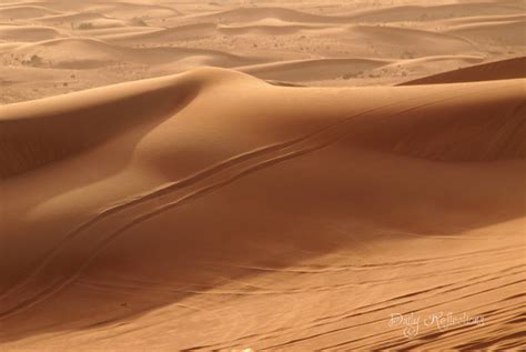 Dubai Desert Naked Woman With Scars On Her Back Sivylla Flickr