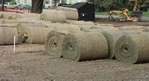 Grass Rolls Rolls Of Turf Waiting To Be Laid Out Cpsengineering Flickr