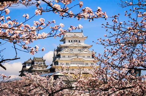 himeji castle     white heron castle   flickr