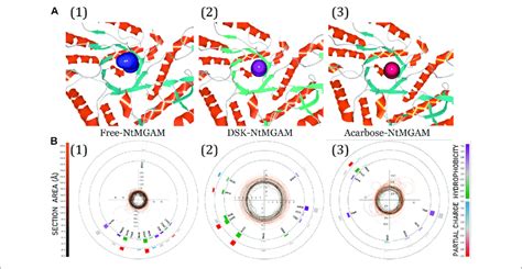 A 3D Visualization Of Candidate Tunnels Of 1 Free NtMGAM 2