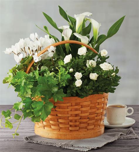 sympathy gifts baskets flowers food gifts harry david