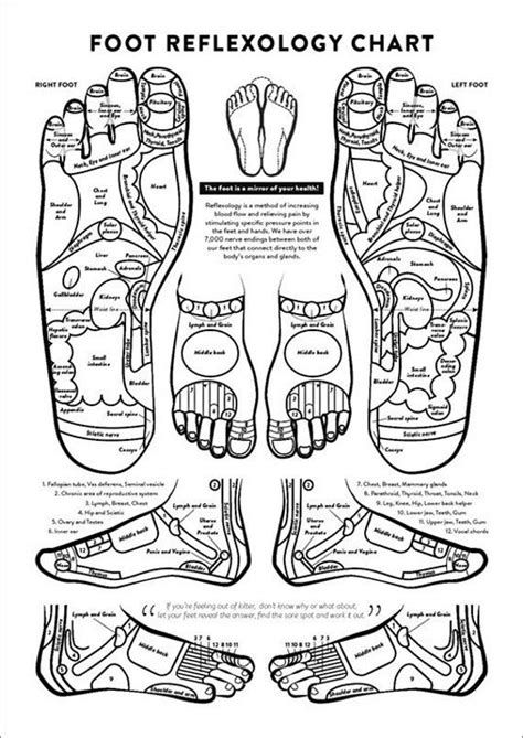 Foot Acupressure And Reflexology Chart Printable Instant Download