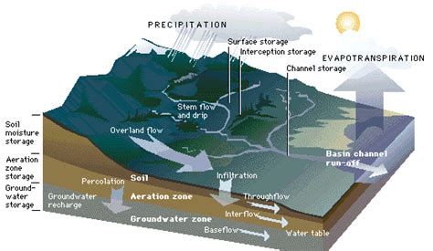 Runoff Types Components Factors And Characteristics Forestrypedia