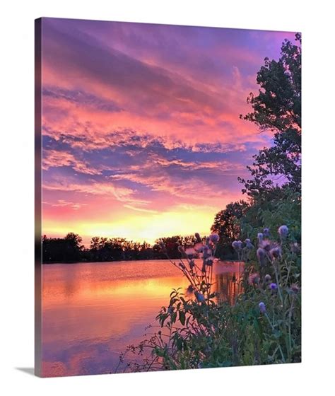 Canvas Gorgeous Sunset, Reflection, Lake, Wildflowers, Upstate New York ...