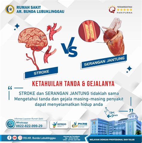 Serangan Jantung Vs Stroke Pahami Perbedaannya Dan Cegah Sejak Dini