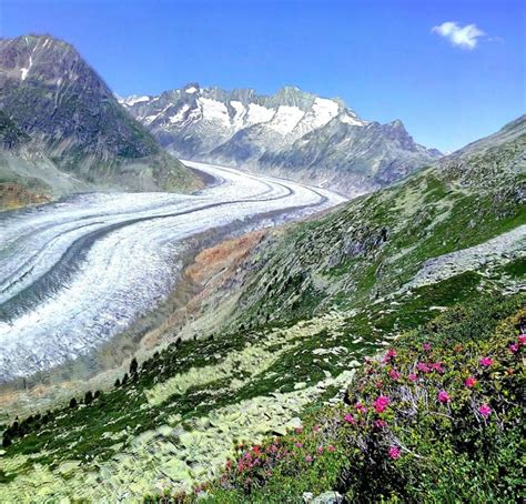 Facile Passeggiata Con Vista Sul Ghiacciaio Dellaletsch Montagna Tv