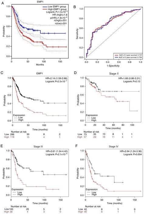 High Expression Of EMP1 Predicts A Poor Prognosis And Correlates With