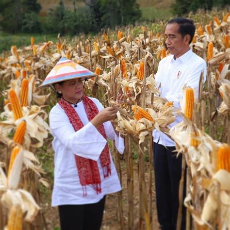 Setia Mendampingi 10 Potret Mesra Jokowi Dan Iriana Yang Bikin Baper