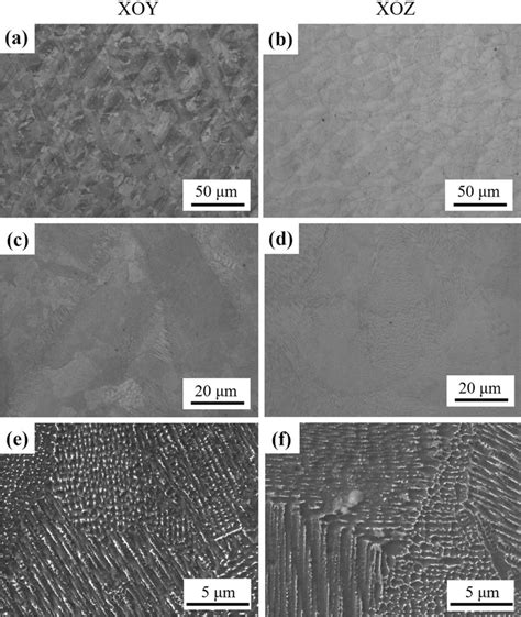 Microstructure Of IN718 Prepared By SLM A C E XOY