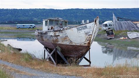 Photos Of Homer Alaska Luci Westphal