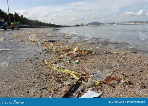 Garbage from the sea. 2 stock photo. Image of shore - 272552264