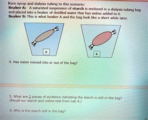 Solved Karo Syrup And Dialysis Tubing To This Scenario Beaker A A