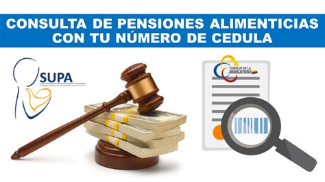 Consultar Pensiones Alimenticias Supa Ecuador