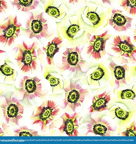 Seamless Pattern Of Anemones Watercolor Stock Image Image Of Design