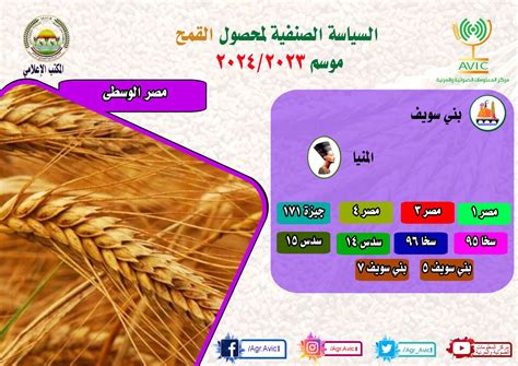 الزراعة تنشر الخريطة الصنفية لمحصول القمح بالمحافظات نماء نيوز