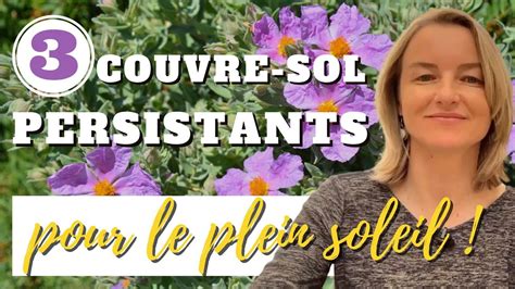 Couvre Sol Persistants Pour Le Plein Soleil Youtube