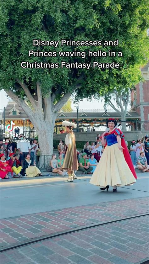 Disneyland with snugzmeow disney princesses and princes in a christmas fantasy parade – Artofit