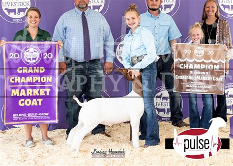 Michigan Livestock Expo Overall Market Goats The Pulse