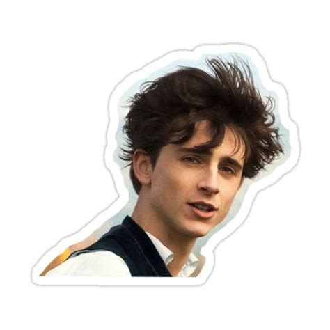 Timothee Chalamet Sticker By Elliehart In 2021 Timothee Chalamet