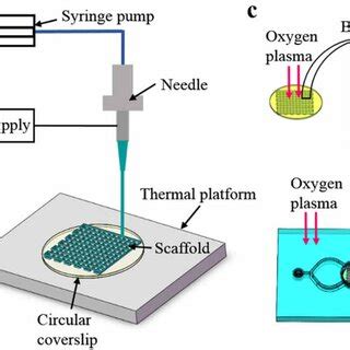 Schematic of fabrication processes of the microfluidic device. (a ...