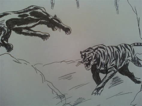 Tiger vs Panther by elegirl on DeviantArt