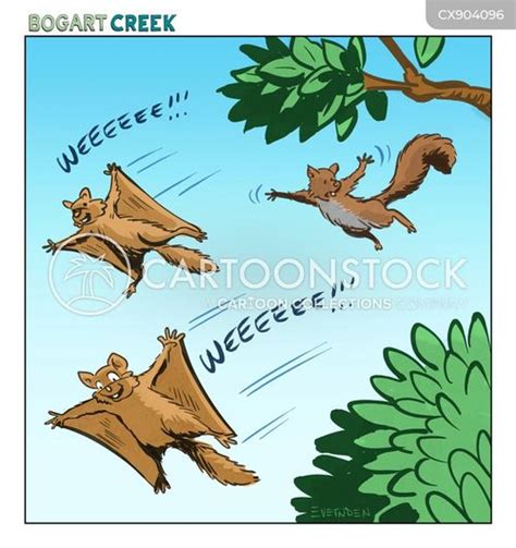 Flying Squirrel Cartoons and Comics - funny pictures from CartoonStock