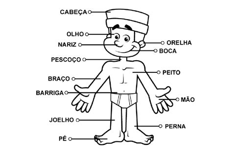 Plano de aula conhecendo o corpo humano - 1º ano Ensino Fundamental