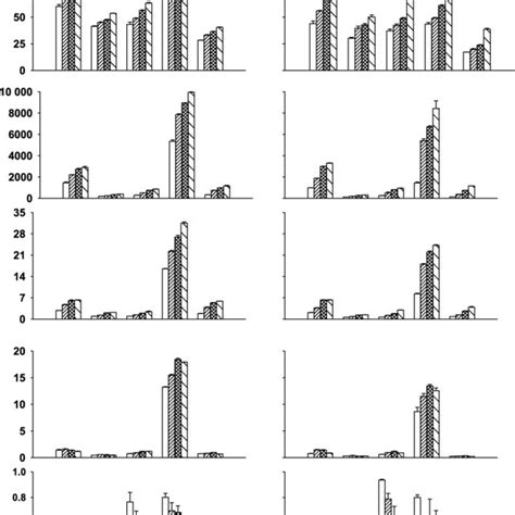 Height Leaf Area Root Mass Shoot Mass And Root To Shoot Ratio R S