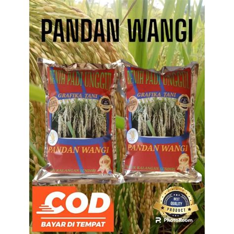 Jual Benih Padi Pandan Wangi Kemasan 1kg Shopee Indonesia