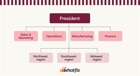 7 Types of Organizational Structures +Examples - Whatfix