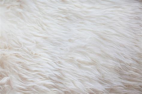 White Fur Texture Background Stock Photo - Download Image Now - Textured, Textured Effect, Full ...