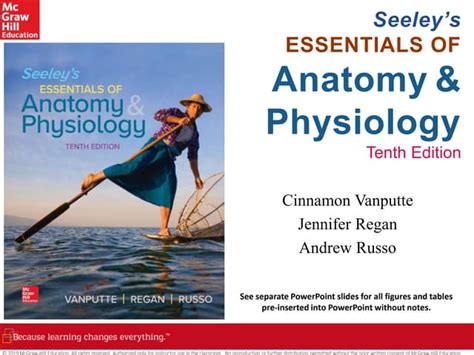 Seeley S Essentials Of Anatomy And Physiology Nervous System Chapter Ppt