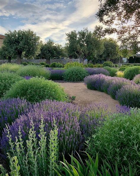 Landscaping with Lavender | 7 Garden Design Ideas