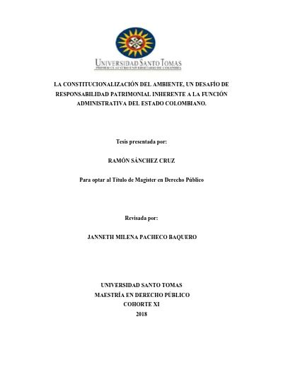 La Constitucionalizaci N Del Ambiente Un Desaf O De Responsabilidad