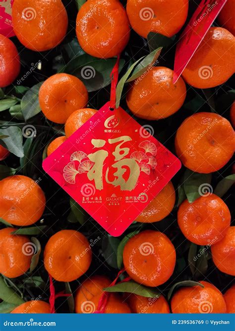 Chinese New Year Decoration Mandarin Orange Tangerine Plants Display