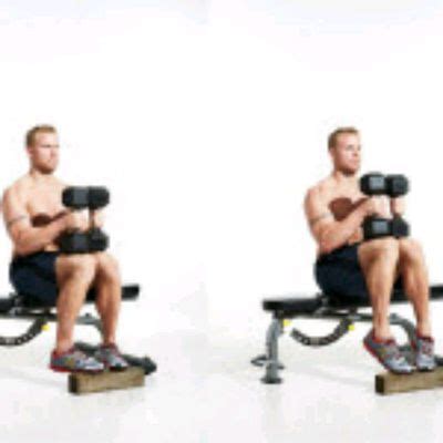 Dumbbell Calf Raises By Seth Moye Exercise How To Skimble