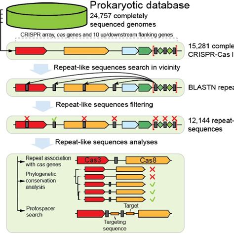 Computational Pipeline For Analysis Of CRISPR Repeat Like Sequences