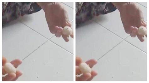 Buat Video Bola Nasi Membal Diduga Mengandung Plastik Emak Emak Di