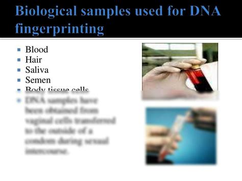 Solution Dna Fingerprinting Full Notes Class 12 Biology Chapter