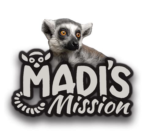 About Us — Madis Mission