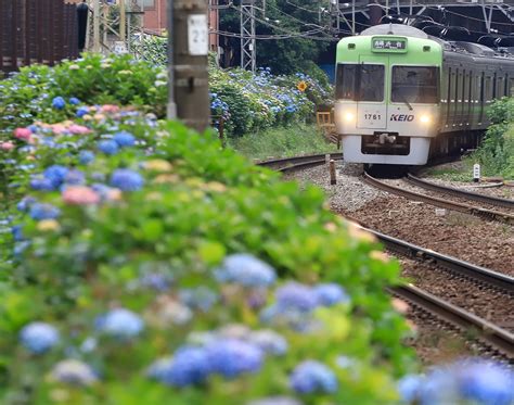 京王井の頭線 四季の旅写真gallery Annex